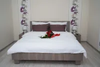 Arad Plaza Viktoria Charming 1-bedroom apartment in lovely Arad 住宿飯店