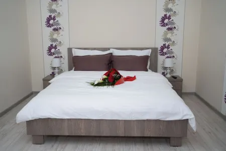 Arad Plaza Viktoria Charming 1-bedroom apartment in lovely Arad