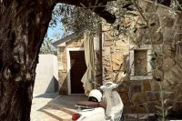 Modern Studio with Terrace & Private Parking on Wine Estate