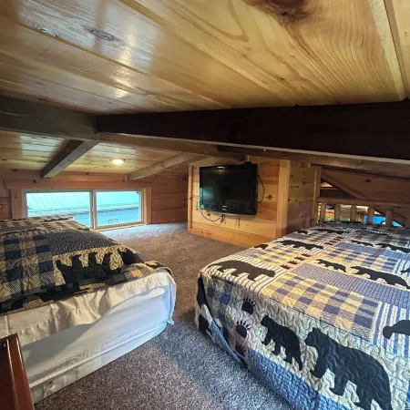 Cozy 1 BR cabin 100 feet from the Linville River near Newland, NC. EV charger