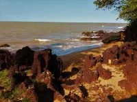 Condomínio dos Pássaros-Net 100 Mbps-Prime Video