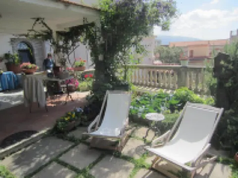 Amaca in a Green Garden