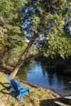 Large Creekside Cabin in the Huron National Forest - outdoor recreation mecca - Alphydda
