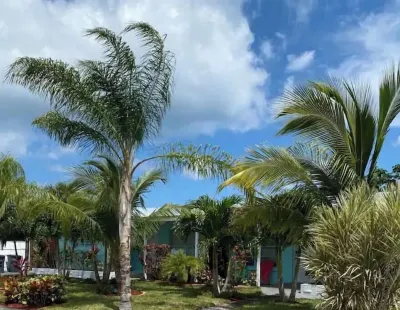 Lovely 1 Bedroom with a Pool Timberline Glamping Jupiter附近的飯店