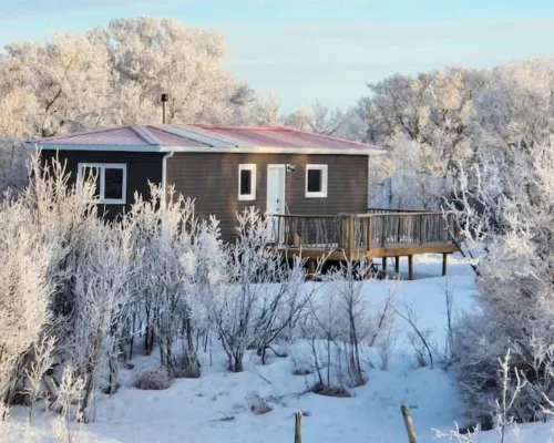 Coulee Creek Cabin فنادق في سويفت كرنت