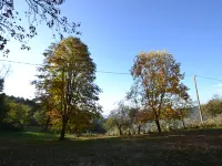Holiday Home in Pescia with Private Pool