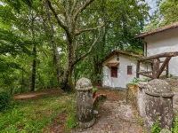 Vintage vacation home