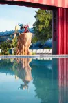 Disney's All-Star Movies Resort - Family