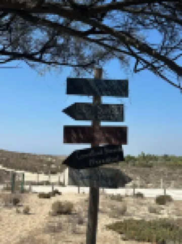 Comporta - Carvalhal Beach - Villa 12 Pers. - 700m from Beach