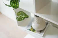 GuestReady - Estadia luminosa e convidativa