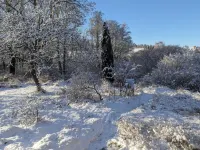 Quietly located holiday home with a natural garden, 500m from the lake and the forest