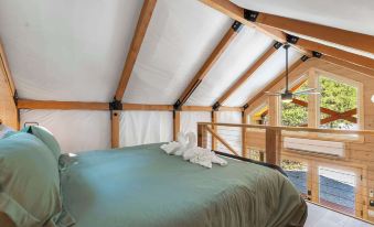 Tree Farm Duo - Best of the Ozarks!