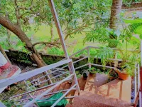 Vailankani guest house Hotels near Agonda