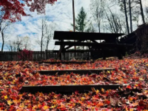Parkview Lodge & Cabins Hotels in Avery County