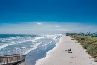 Beautiful Blue Heron Sleeps 6 Great Views