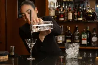 Hotel Euroski Mountain Resort & Spa - bar