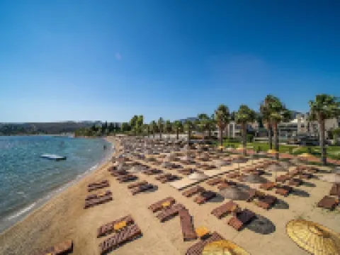 Ambrosia Hotel Beach & Spa Hotels in Bitez