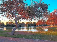 Le Blanc Inn & Suites Hotels in El Monte