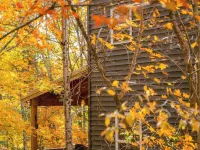 The Treetop Retreat Family Getaway in Scenic Hocking Hills Hotels in Hocking County