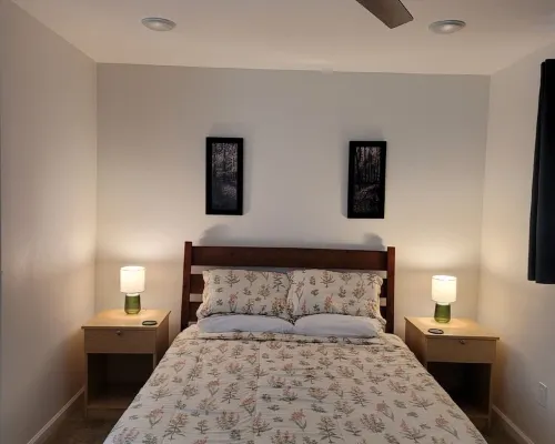 Tranquil Springs: Forest Retreat Unit 6, Townhome with Natural Hot Springs! トゥルース・オア・コンシクエンシーズのホテル