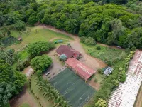 Hotel del Bosque