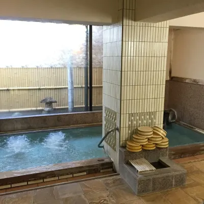 Kodakaranoyu Shiojiri Hotel - 3-Star