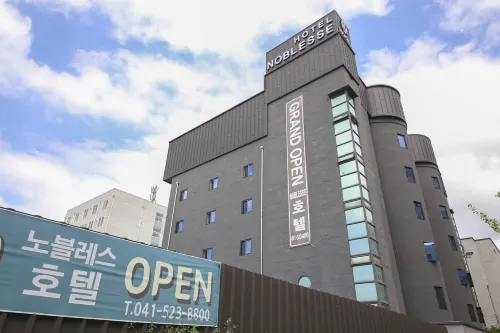 Cheonan Noblesse Hotel - 駐車場