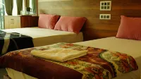 Vasu Inn - Rooms in Valparai - Bjergudsigt