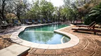 Grand Kruger Lodge and Spa - Pools