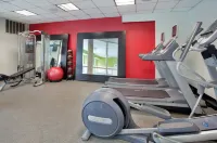 Hilton Garden Inn Orange Beach Beachfront - Gym