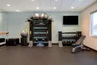 Tru by Hilton Franklin Cool Springs Nashville - Gym