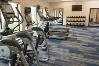 TownePlace Suites Battle Creek - salle de sport