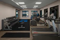 Hampton Inn & Suites Grand Rapids-Airport 28th Street - Gym