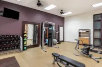 Embassy Suites by Hilton Loveland Conference Center & Spa - Gym
