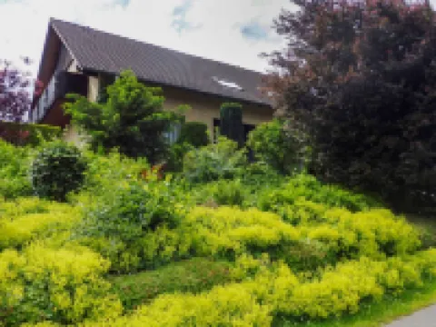 Waldvogt Hotels in Schieder-Schwalenberg