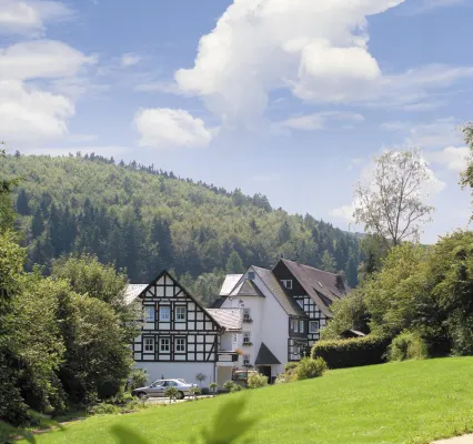 Hotel & Gasthof Hubertushöhe Hotels in Bad Berleburg