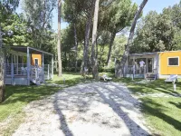 Maxi Caravan Ischia