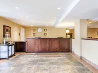 Comfort Inn & Suites Hotels near Craigleith Provincial Park