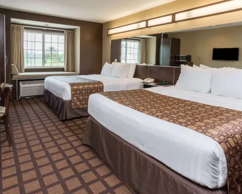 Microtel Inn & Suites by Wyndham Jacksonville Airport Hotels near Riverview Park