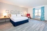 Hilton Garden Inn Broomfield Boulder فنادق في Broomfield