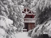 Sycamore Avenue Treehouses & Cottages Accommodation - parking