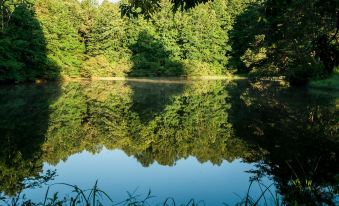 a serene scene of a lake surrounded by lush green trees , with the reflection of the trees in the water at A Mighty Oak B&B