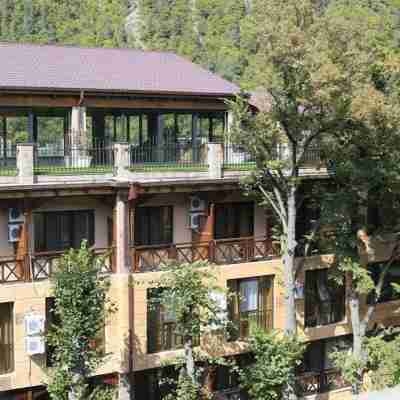 Borjomi Palace Health & Spa Center Hotel Exterior