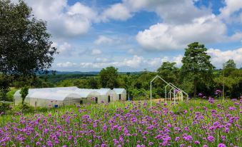 Phu Prom Dao Farmstay