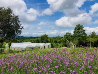 Phu Prom Dao Farmstay Hotels in Thep Sathit