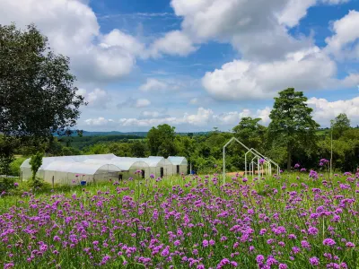 Phu Prom Dao Farmstay Hotel in zona Wat Yang Kiao Faek