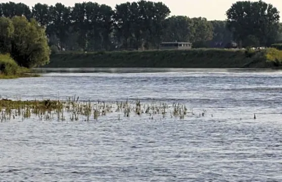 比德邁住宿加早餐旅館