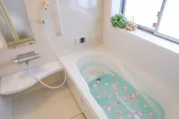 Laulea Hotels in Kin