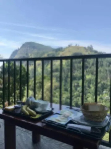 ビューフロント エラ