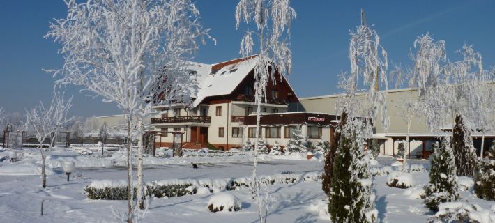Garden Club - Hotel & Restaurant - Free Outdoor Pool & Parking Hotels in Brasov
